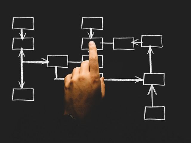 Organisation och effektivitet